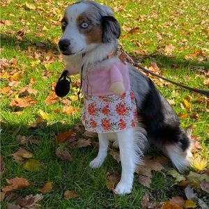 Grandma medium dog costume for halloween